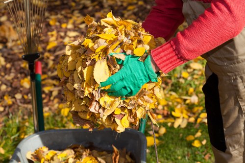 A person wearing red sleeves and green gloves is gathering a large pile of yellow and brown autumn leaves, placing them into a black plastic garden waste bin that is positioned on a grassy outdoor area. In the background, a garden rake with a green handle is propped upright against a wooden fence, amidst fallen leaves scattered on the lawn. The scene suggests the process of garden clearance, with the individual preparing waste for removal, consistent with professional rubbish clearance services offered by Garden Clearance Neasden in the local Neasden area.